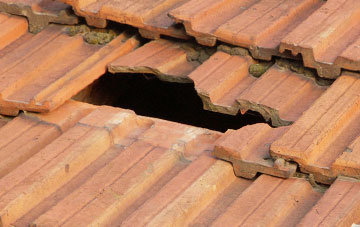 roof repair Cross Green